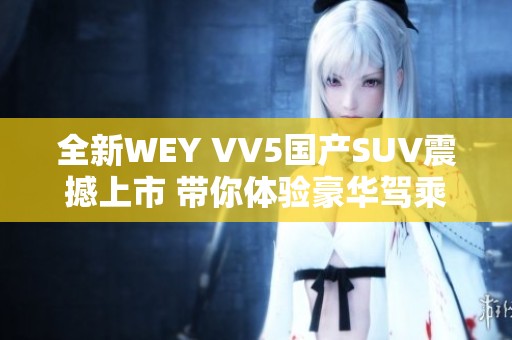 全新WEY VV5国产SUV震撼上市 带你体验豪华驾乘盛宴