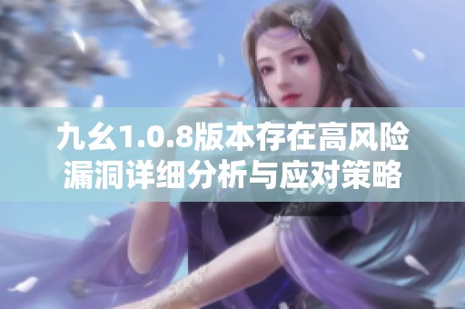 九幺1.0.8版本存在高风险漏洞详细分析与应对策略