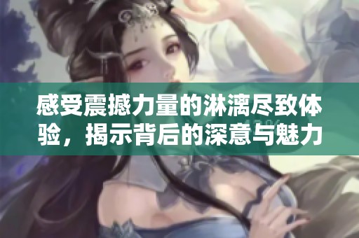 感受震撼力量的淋漓尽致体验，揭示背后的深意与魅力