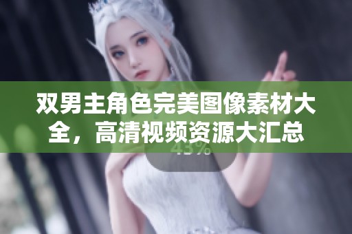 双男主角色完美图像素材大全，高清视频资源大汇总