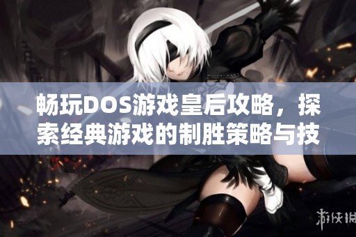 畅玩DOS游戏皇后攻略，探索经典游戏的制胜策略与技巧