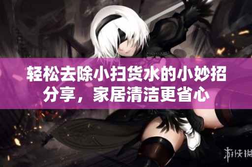 轻松去除小扫货水的小妙招分享，家居清洁更省心