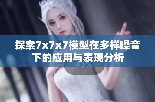 探索7x7x7模型在多样噪音下的应用与表现分析