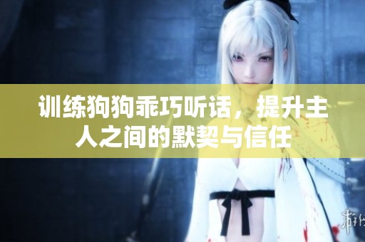 训练狗狗乖巧听话，提升主人之间的默契与信任