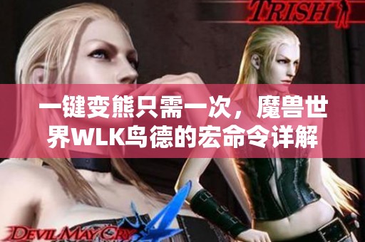 一键变熊只需一次，魔兽世界WLK鸟德的宏命令详解