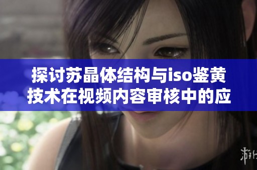 探讨苏晶体结构与iso鉴黄技术在视频内容审核中的应用