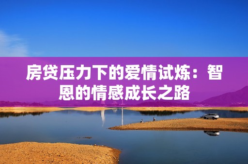 房贷压力下的爱情试炼：智恩的情感成长之路
