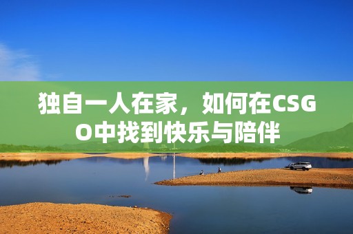 独自一人在家，如何在CSGO中找到快乐与陪伴