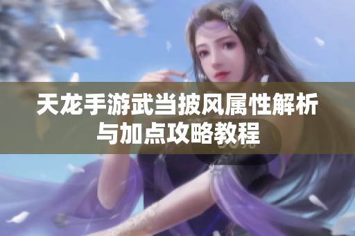 天龙手游武当披风属性解析与加点攻略教程