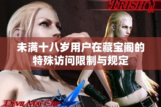未满十八岁用户在藏宝阁的特殊访问限制与规定