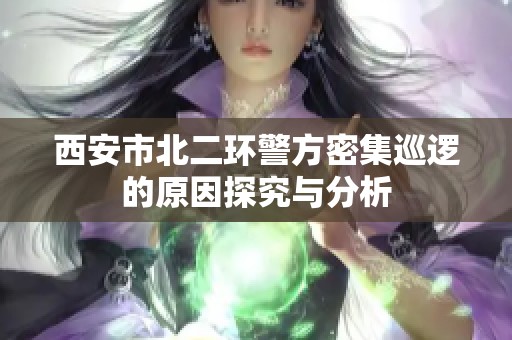 西安市北二环警方密集巡逻的原因探究与分析