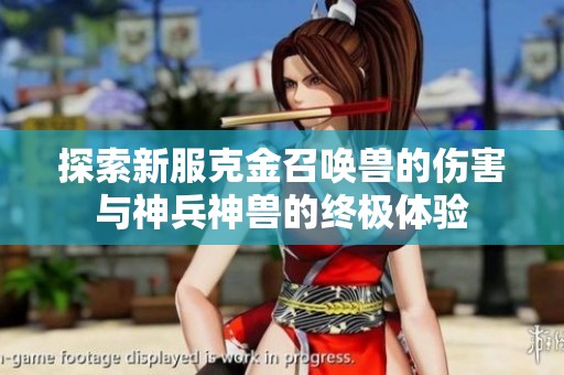 探索新服克金召唤兽的伤害与神兵神兽的终极体验