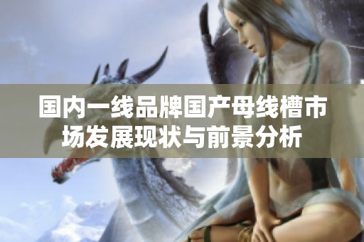 国内一线品牌国产母线槽市场发展现状与前景分析