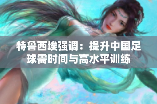 特鲁西埃强调：提升中国足球需时间与高水平训练