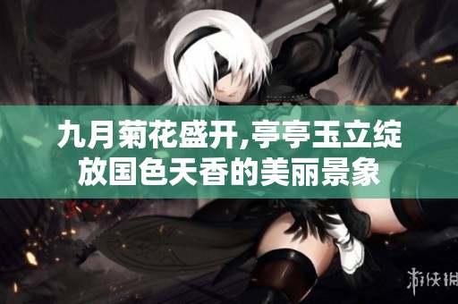 九月菊花盛开,亭亭玉立绽放国色天香的美丽景象