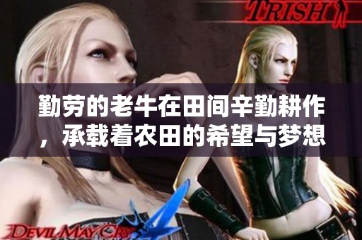 勤劳的老牛在田间辛勤耕作，承载着农田的希望与梦想