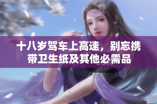 十八岁驾车上高速，别忘携带卫生纸及其他必需品