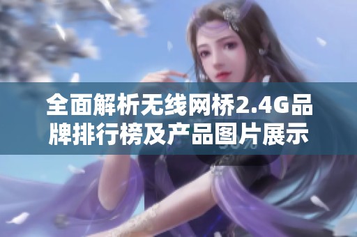 全面解析无线网桥2.4G品牌排行榜及产品图片展示