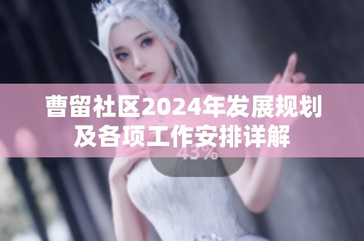 曹留社区2024年发展规划及各项工作安排详解