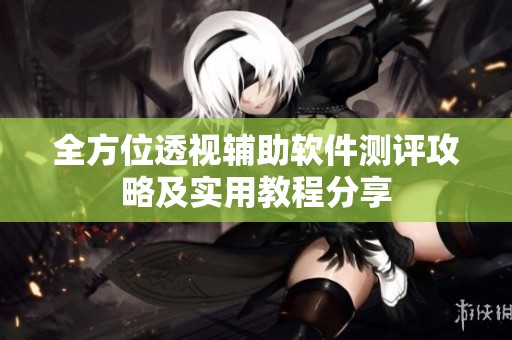 全方位透视辅助软件测评攻略及实用教程分享