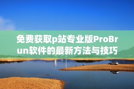 免费获取p站专业版ProBrun软件的最新方法与技巧