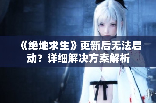 《绝地求生》更新后无法启动？详细解决方案解析