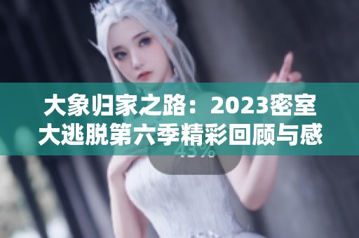 大象归家之路：2023密室大逃脱第六季精彩回顾与感悟