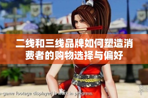 二线和三线品牌如何塑造消费者的购物选择与偏好