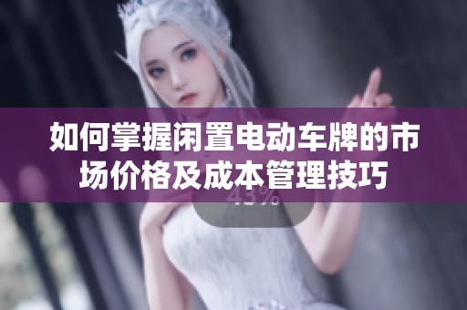 如何掌握闲置电动车牌的市场价格及成本管理技巧