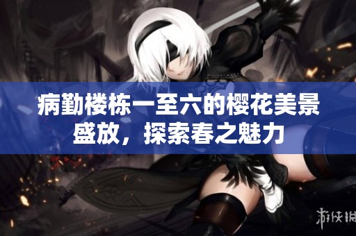 病勤楼栋一至六的樱花美景盛放，探索春之魅力