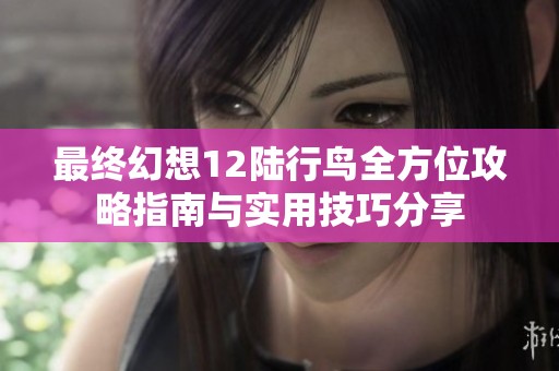 最终幻想12陆行鸟全方位攻略指南与实用技巧分享