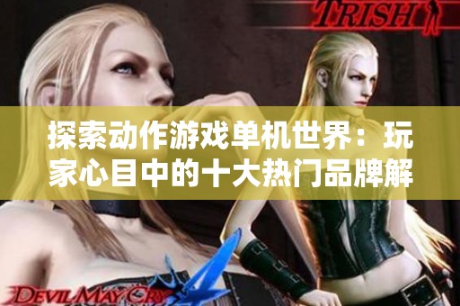 探索动作游戏单机世界：玩家心目中的十大热门品牌解析