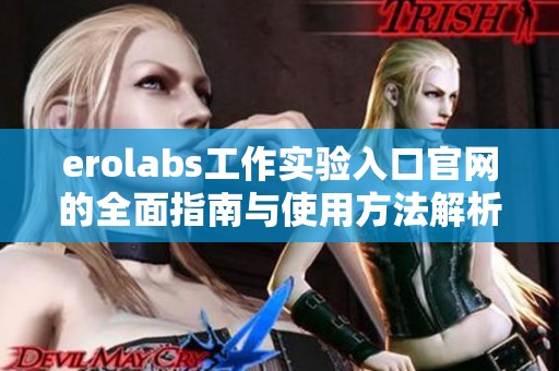 erolabs工作实验入口官网的全面指南与使用方法解析