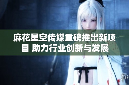 麻花星空传媒重磅推出新项目 助力行业创新与发展