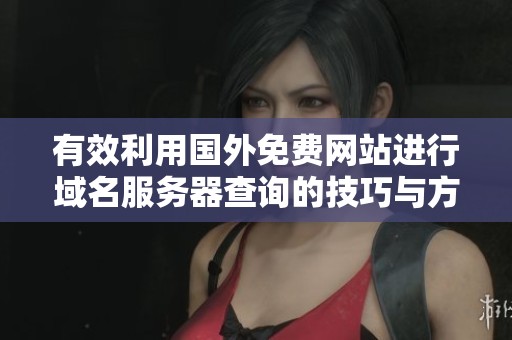 有效利用国外免费网站进行域名服务器查询的技巧与方法