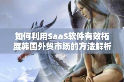 如何利用SaaS软件有效拓展韩国外贸市场的方法解析