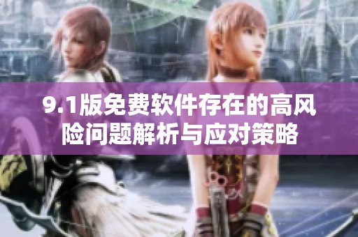 9.1版免费软件存在的高风险问题解析与应对策略