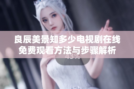 良辰美景知多少电视剧在线免费观看方法与步骤解析