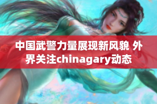 中国武警力量展现新风貌 外界关注chinagary动态