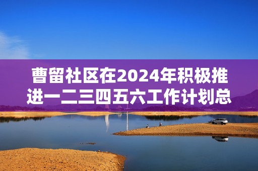 曹留社区在2024年积极推进一二三四五六工作计划总结与展望