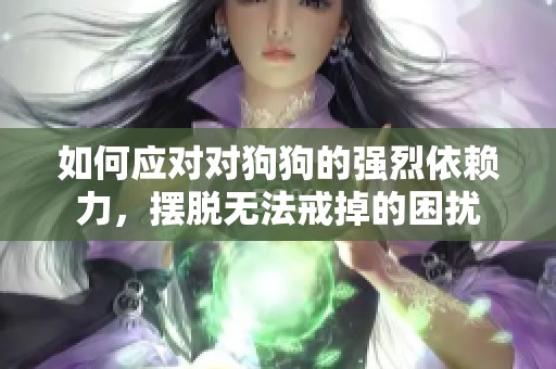 如何应对对狗狗的强烈依赖力，摆脱无法戒掉的困扰