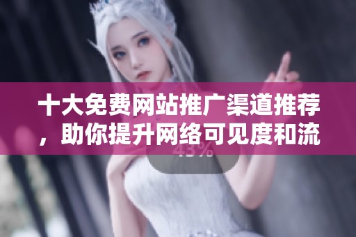 十大免费网站推广渠道推荐，助你提升网络可见度和流量