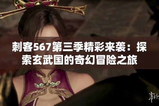刺客567第三季精彩来袭：探索玄武国的奇幻冒险之旅