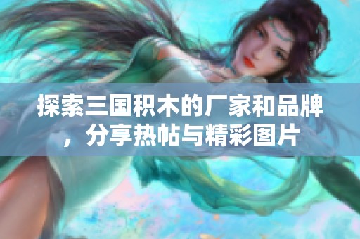 探索三国积木的厂家和品牌，分享热帖与精彩图片