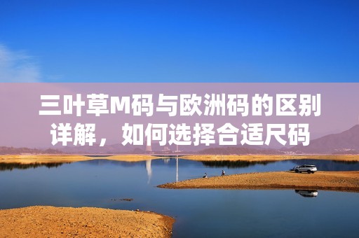 三叶草M码与欧洲码的区别详解，如何选择合适尺码