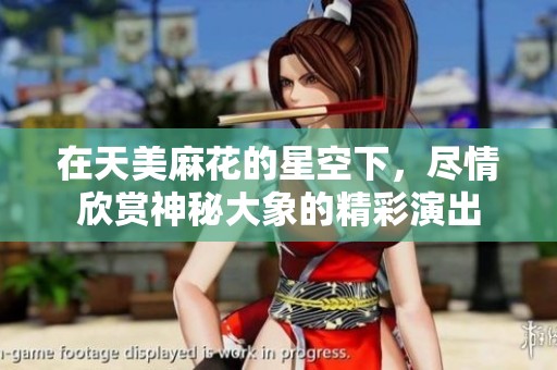 在天美麻花的星空下，尽情欣赏神秘大象的精彩演出