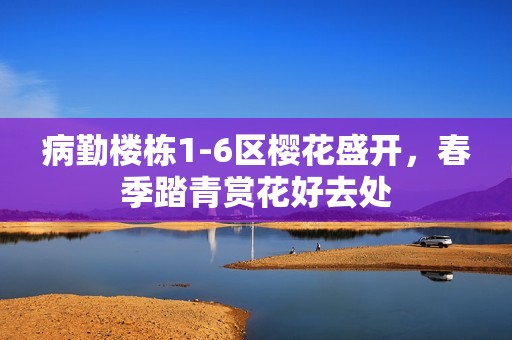 病勤楼栋1-6区樱花盛开，春季踏青赏花好去处
