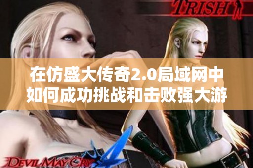 在仿盛大传奇2.0局域网中如何成功挑战和击败强大游戏精灵