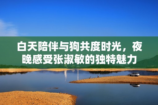 白天陪伴与狗共度时光，夜晚感受张淑敏的独特魅力