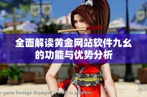 全面解读黄金网站软件九幺的功能与优势分析